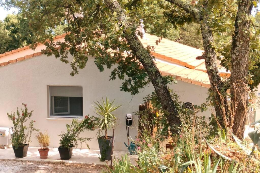 La Madoca Apartment Flayosc Bagian luar foto